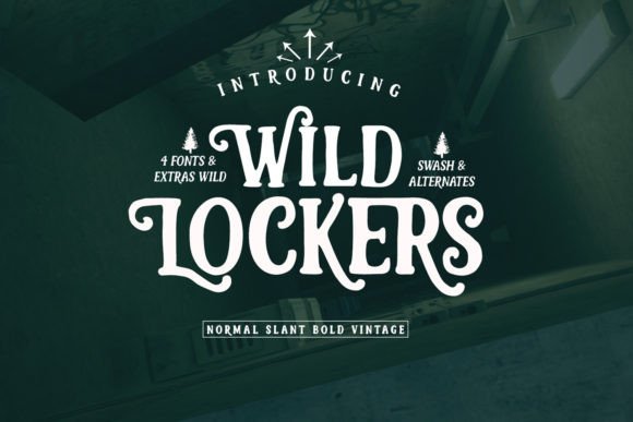 Wild Lockers: A Retro Display Font for Handmade Branding